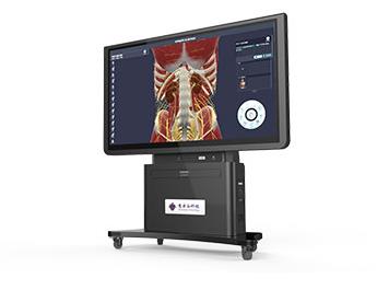 虚拟局部解剖实训教学系统