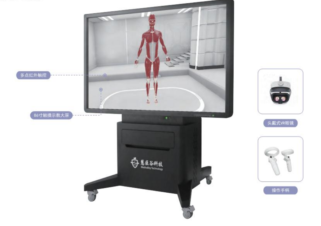 沉浸式中医经络腧穴解剖虚拟教学平台