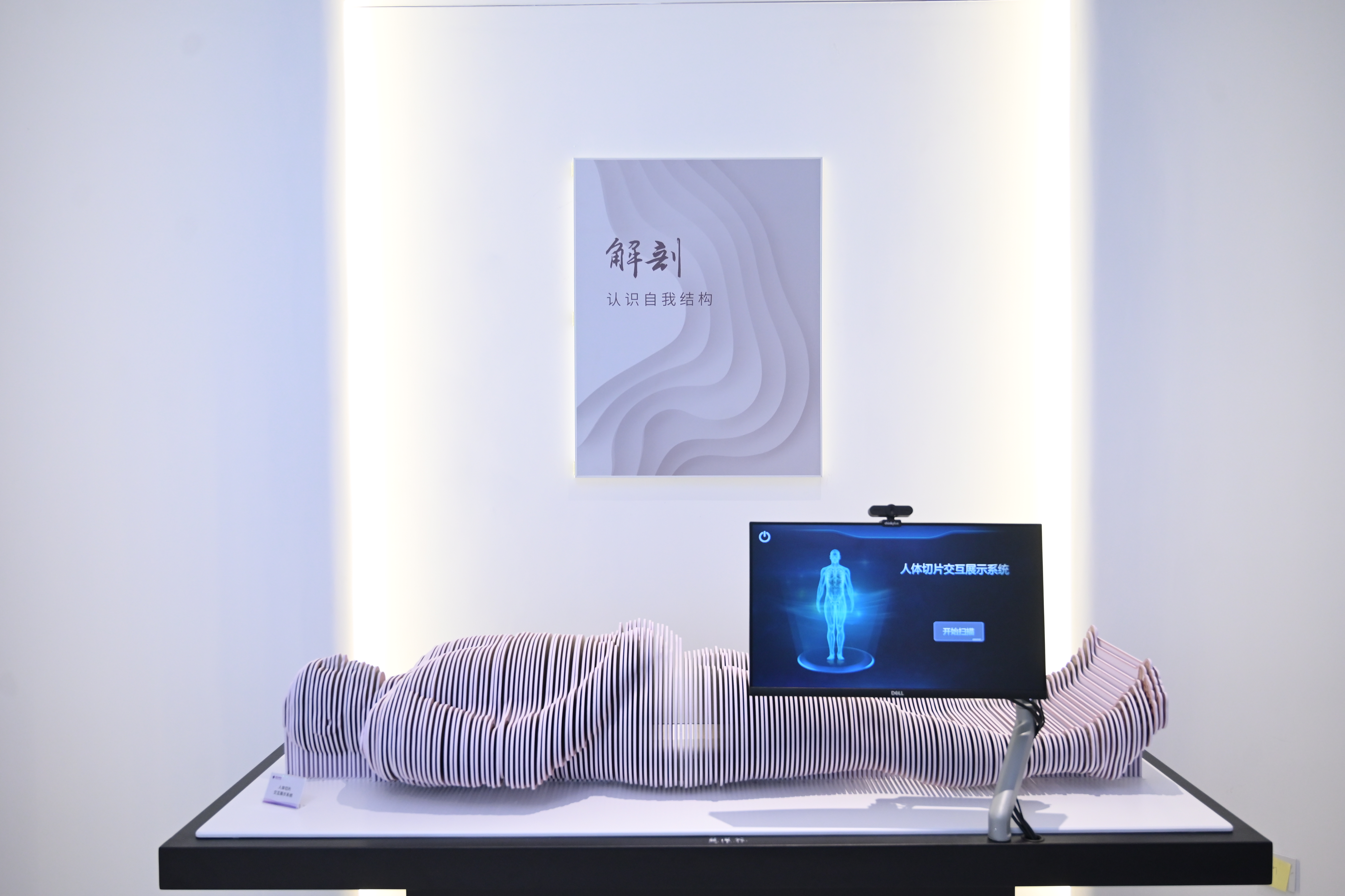 人体切片交互展示系统 图片 2